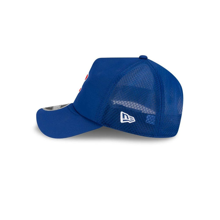 Chicago Cubs 2026 BP 9FORTY Adjustable Cap by New Era