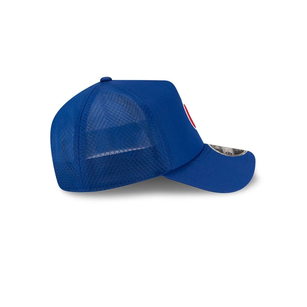 Chicago Cubs 2026 BP 9FORTY Adjustable Cap by New Era
