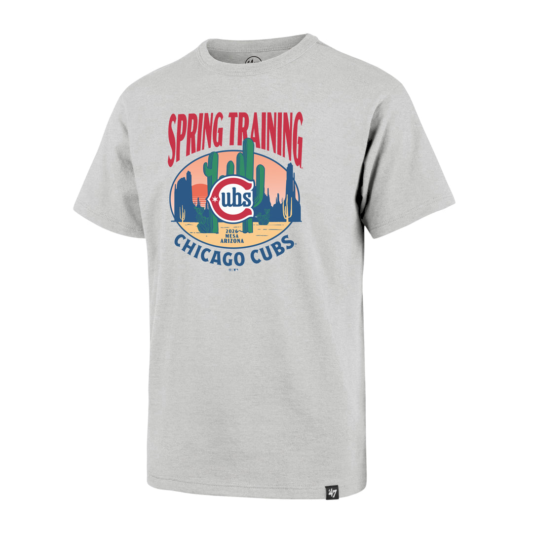 Chicago Cubs Blues Alt Grey Youth Short Sleeve Tee by '47 Brand Tees '47 Brand