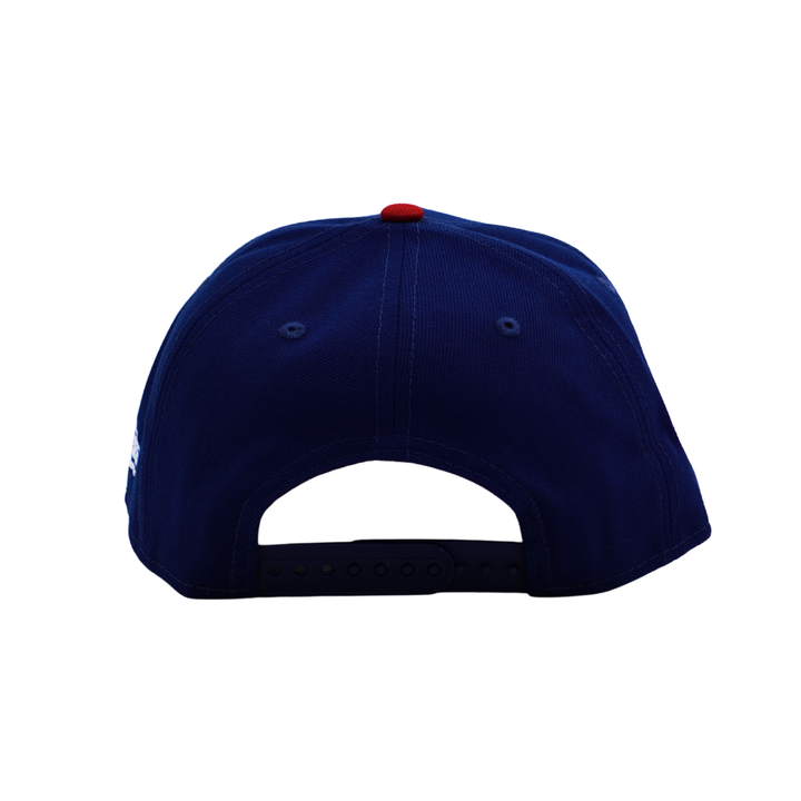 Chicago Cubs Walking Bear 150th Anniversary 9FORTY A-Frame Cap by New Era Caps NEW ERA CAP COMPANY
