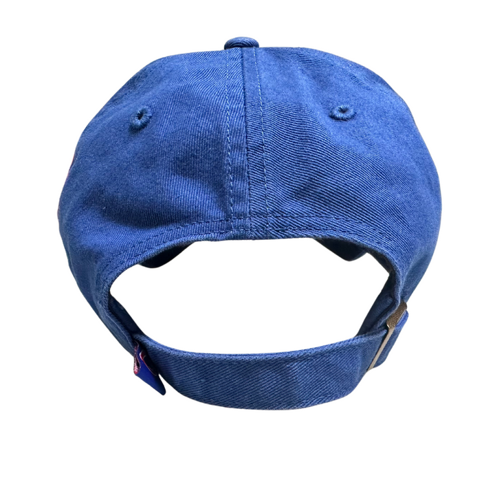CHICAGO CUBS &