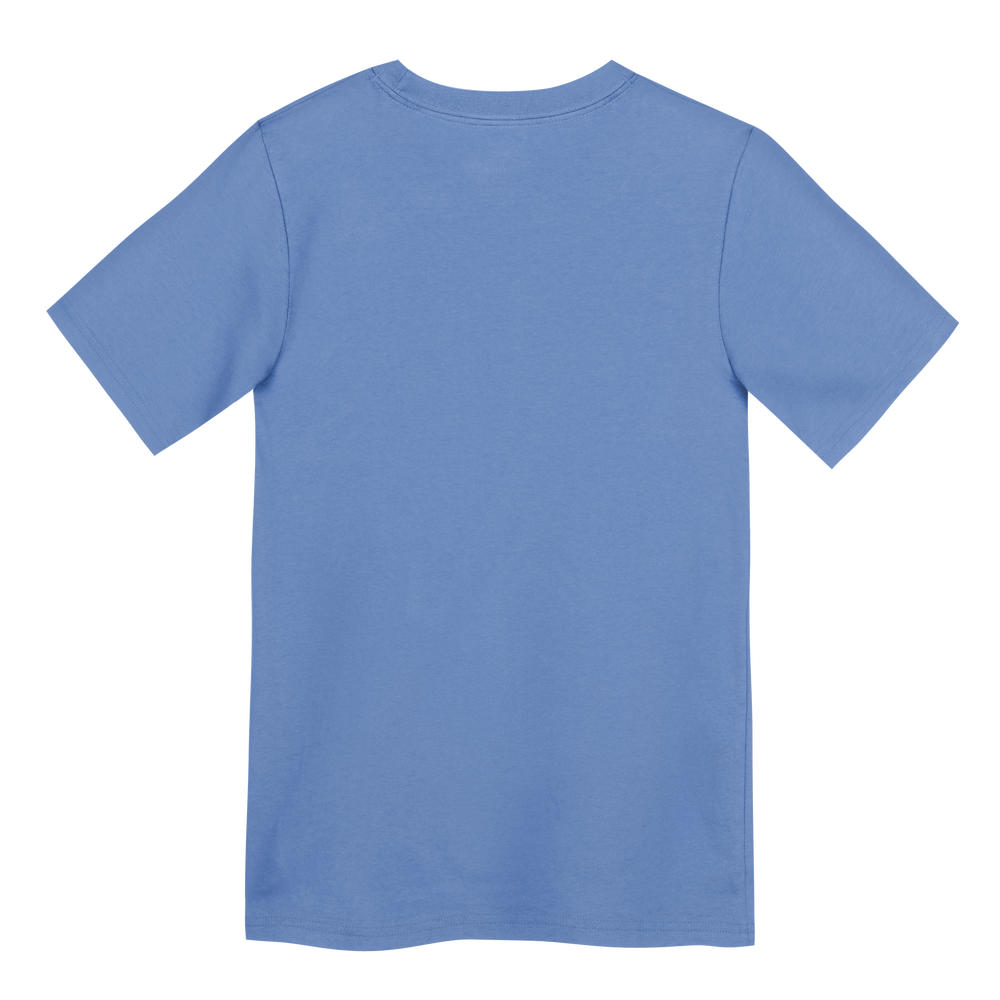 Chicago Cubs Blues Alternate Rock Bear Youth Tee (4–7) by Nike T-Shirt OUTERSTUFF LLC